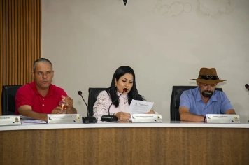 Foto relacionada - Câmara Municipal de Centralina realiza reunião ordinária com votação de indicações e apresentação de novas proposições
